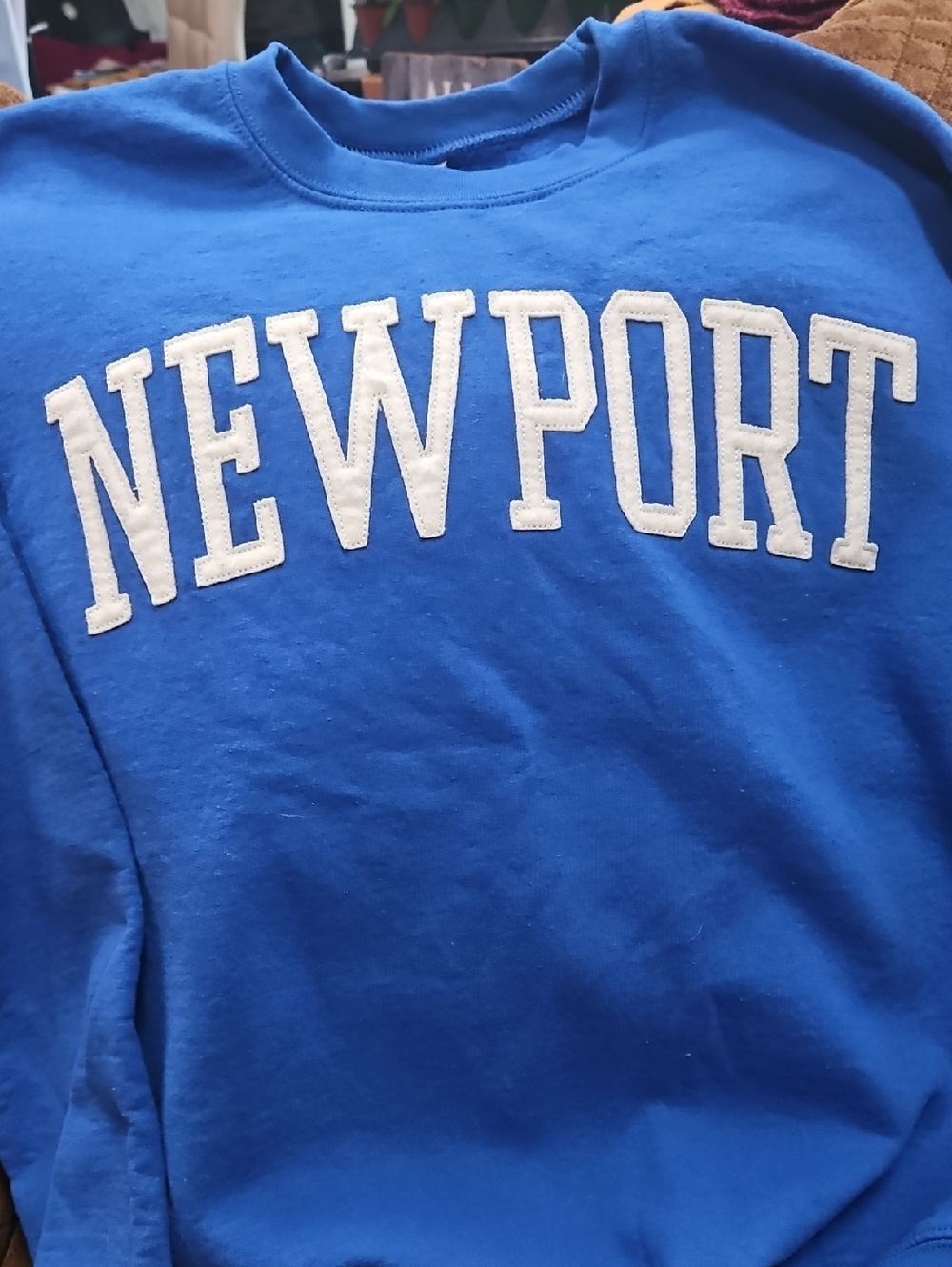 Gildan Royal Blue Sweatshirt with White Appliqué